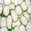 Chuối hột (chuối chát), sản phẩm an toàn